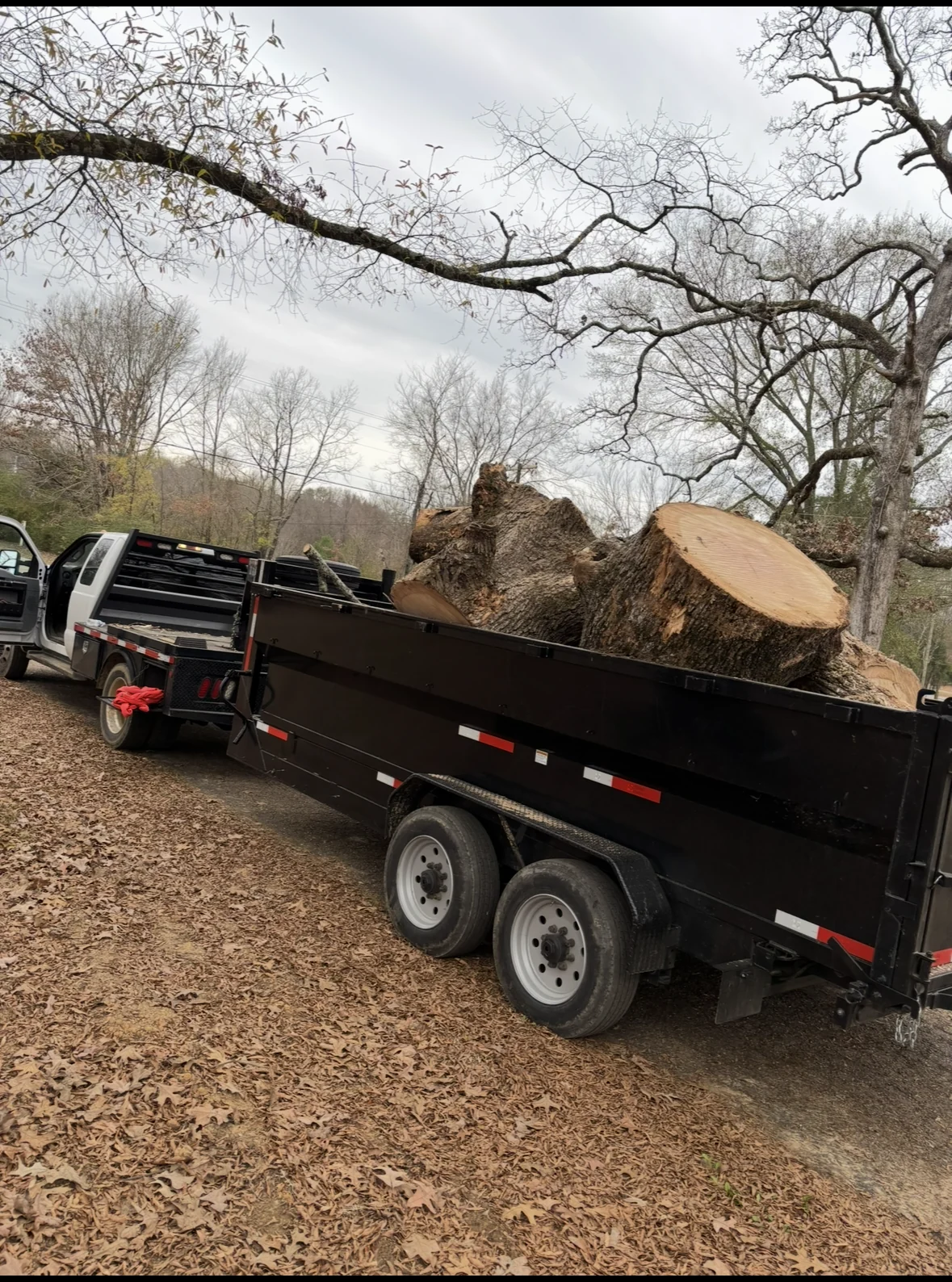 Cut wood loaded for cleanup